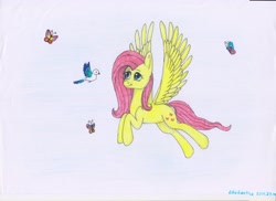 Size: 2560x1865 | Tagged: safe, artist:deltahedgehog, derpibooru exclusive, fluttershy, bird, butterfly, pegasus, pony, cute, female, mare, simple background, smiling, solo, white background, wings