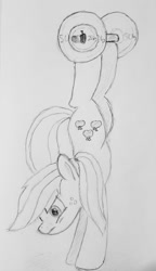 Size: 1153x2000 | Tagged: safe, artist:darelith, applejack, earth pony, pony, handstand, hatless, missing accessory, monochrome, newbie artist training grounds, solo, traditional art, weight lifting, weights