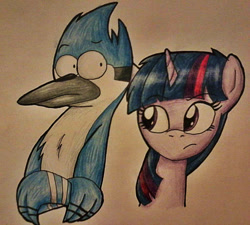 Size: 1023x919 | Tagged: safe, artist:xxsonnythecatxx, derpibooru import, twilight sparkle, mordecai, regular show, traditional art