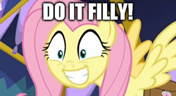 Size: 427x234 | Tagged: safe, edit, edited screencap, screencap, fluttershy, pegasus, pony, a health of information, do it filly, image macro, meme