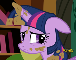 Size: 1211x957 | Tagged: safe, derpibooru import, screencap, twilight sparkle, twilight sparkle (alicorn), alicorn, castle sweet castle, bookshelf, reaction image, solo