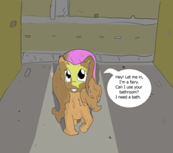 Size: 500x441 | Tagged: artist needed, safe, fluttershy, pegasus, pony, color, dialogue, dude let me in, fairy, looking at you, meme, messy, mud, muddy, night, outdoors, solo, speech bubble, standing, street, talking