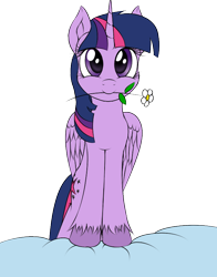 Size: 628x803 | Tagged: safe, artist:skorpionletun, derpibooru import, twilight sparkle, twilight sparkle (alicorn), alicorn, pony, cute, female, flower, flower in mouth, looking at you, mare, mouth hold, simple background, smiling, solo, transparent background, twiabetes, unshorn fetlocks