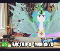 Size: 604x511 | Tagged: safe, princess celestia, queen chrysalis, alicorn, changeling, changeling queen, pony, spoiler:s09, boris yeltsin, cyrillic, impact font, insect wings, looking at you, meme, russian, russian meme, solo, spread wings, wings