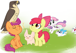 Size: 1088x760 | Tagged: safe, artist:php27, apple bloom, opalescence, scootaloo, sweetie belle, bird, cat, earth pony, mouse, pegasus, pig, pony, unicorn, bow, chase, colored, cutie mark crusaders, eyes closed, falcon, female, filly, kitten, mouth hold, peregrine falcon, pet, pets, piglet, proud, running, simple background, sitting, sitting on head, trio, white background