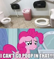 Size: 1494x1608 | Tagged: safe, pinkie pie, pony, exploitable meme, image macro, meme, obligatory pony, toilet