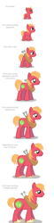 Size: 862x3537 | Tagged: safe, artist:anarchemitis, big macintosh, earth pony, pony, age progression, baby, baby macintosh, baby pony, colt, foal, horse collar, male, simple background, solo, stallion, teenager, white background, younger