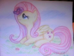 Size: 320x240 | Tagged: safe, artist:vertrev, fluttershy, butterfly, pegasus, pony, butterfly on nose, folded wings, insect on nose, looking at something, picture for breezies, profile, prone, solo, traditional art