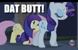 Size: 500x319 | Tagged: safe, edit, edited screencap, screencap, fluttershy, rarity, pegasus, pony, unicorn, all new, caption, dat butt, eyes on the prize, image macro, meme, plot, text