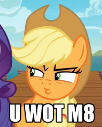 Size: 425x525 | Tagged: safe, screencap, applejack, rarity, earth pony, pony, unicorn, ppov, pouting, u wot m8