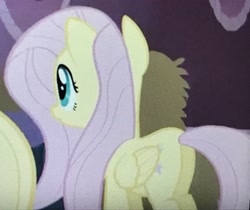 Size: 3288x2758 | Tagged: safe, screencap, fluttershy, pegasus, pony, simple ways, female, mare, plot, solo