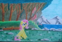 Size: 2730x1832 | Tagged: safe, artist:ironbeastz, fluttershy, butterfly, pegasus, pony, solo, traditional art, tree