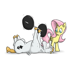 Size: 3000x2310 | Tagged: safe, artist:timsplosion, bulk biceps, fluttershy, pegasus, pony, ear piercing, earring, fanfic, fanfic art, jewelry, piercing, weight, weight lifting