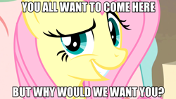 Size: 2560x1440 | Tagged: safe, artist:dwk, edit, edited screencap, screencap, fluttershy, pegasus, pony, a bird in the hoof, discordant harmony, always works, anti-bronybait, bronybait, dreamworks face, flutterbitch, image macro, meme, smug, solo, totally legit recap