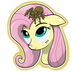 Size: 1200x1200 | Tagged: dead source, safe, artist:hc0, fluttershy, pegasus, pony, spider, tarantula, bust, portrait, simple background, solo, transparent background