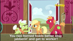 Size: 785x440 | Tagged: safe, screencap, applejack, big macintosh, granny smith, earth pony, pony, where the apple lies, male, stallion, subtitles, teenage applejack, teenage big macintosh, younger