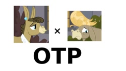 Size: 1008x572 | Tagged: safe, edit, screencap, cranky doodle donkey, matilda, donkey, a friend in deed, crankilda, exploitable meme, female, hilarious in hindsight, male, meme, otp, shipping, simple background, straight, vector, white background