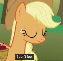 Size: 722x692 | Tagged: safe, screencap, applejack, earth pony, pony, apathy, applejack cries on the inside, cropped, emotionless, eyes closed, feels, hilarious in hindsight, low quality, meme, solo, telling lies, youtube caption