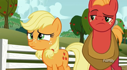 Size: 1275x707 | Tagged: safe, screencap, applejack, big macintosh, earth pony, pony, where the apple lies, discovery family logo, male, raised eyebrow, stallion, teenage applejack, teenage big macintosh