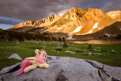 Size: 5184x3456 | Tagged: safe, artist:lanacraft, artist:natureshy, fluttershy, bat pony, pony, absurd resolution, california, equestria: into the wild, flutterbat, high res, irl, kittensized, lake virginia, photo, plushie, ponies around the world, prone, race swap, solo