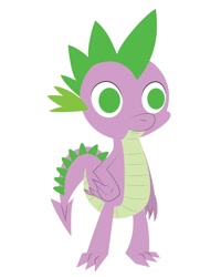 Size: 800x1000 | Tagged: safe, artist:daisyhead, spike, dragon, simple background, vector, white background