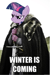 Size: 495x739 | Tagged: safe, derpibooru import, edit, twilight sparkle, tanks for the memories, brace yourselves, game of thrones, image macro, meme, spoiler, twilight starkle, winter is coming
