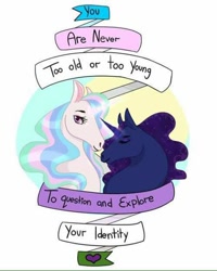 Size: 480x600 | Tagged: artist needed, safe, princess celestia, princess luna, alicorn, pony, bust, ethereal mane, facebook, female, feminism, hoers, mare, motto, pride, purple & black anarchists, starry mane