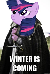 Size: 492x738 | Tagged: safe, derpibooru import, twilight sparkle, tanks for the memories, game of thrones, meme, spoiler, twilight starkle, windswept mane, winter is coming