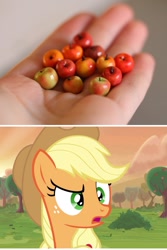 Size: 640x960 | Tagged: safe, applejack, human, apple, bust, crabapple, food, hand, irl, irl human, obligatory apple, open mouth, photo, raised eyebrow, scenery, solo