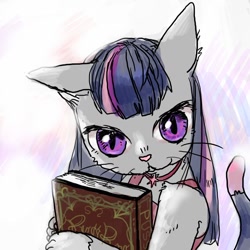 Size: 800x800 | Tagged: safe, artist:han_hyui, derpibooru import, twilight sparkle, cat, book, solo, species swap, twilight cat