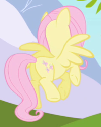 Size: 236x297 | Tagged: safe, screencap, fluttershy, pegasus, pony, friendship is magic, cropped, female, mare, plot, solo, spread wings, wings