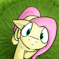 Size: 1800x1794 | Tagged: safe, artist:loceri, fluttershy, pegasus, pony, cute, female, grass, imminent boop, looking at you, looking up, mare, shyabetes, solo, sweet dreams fuel