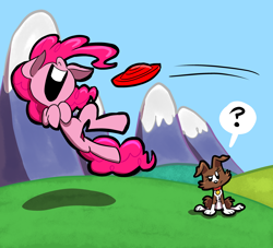 Size: 4400x4000 | Tagged: safe, artist:joeywaggoner, pinkie pie, winona, earth pony, pony, absurd resolution, behaving like a dog, frisbee, pinkie being pinkie, puppy pie, question mark