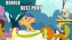 Size: 785x439 | Tagged: safe, edit, edited screencap, screencap, bon bon, caramel, carrot top, flash sentry, golden harvest, mayor mare, sweetie drops, the last roundup, behold, best pony, forced meme, meme