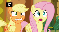 Size: 1916x1046 | Tagged: safe, artist:lukington17, screencap, applejack, fluttershy, earth pony, pegasus, pony, viva las pegasus, discovery family logo, facial expressions, surprised