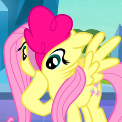 Size: 530x530 | Tagged: safe, edit, edited screencap, screencap, fluttershy, pinkie pie, earth pony, pegasus, pony, the crystal empire, cropped, fluttershy suit, pony costume, wat