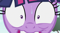 Size: 993x559 | Tagged: safe, derpibooru import, screencap, twilight sparkle, lesson zero, picture, sweat, twilight snapple