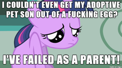 Size: 610x342 | Tagged: safe, derpibooru import, twilight sparkle, i've failed as a parent, image macro, mama twilight, meme, parent, vulgar, what if