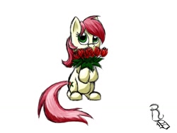 Size: 1024x768 | Tagged: safe, artist:ravenousdrake, roseluck, flower, rose, simple background, solo, white background