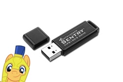 Size: 938x630 | Tagged: safe, flash sentry, datalocker, derpibooru logic, flashdrive, forced meme, meme, pun, sentry, solo, usb