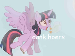 Size: 1067x804 | Tagged: safe, artist:gergta, artist:nevo, derpibooru import, twilight sparkle, twilight sparkle (alicorn), alicorn, pony, princess twilight sparkle (episode), 420, comic sans, doritos, drugs, female, high, lens flare, mare, marijuana, mlg, needs more jpeg, solo