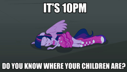 Size: 958x540 | Tagged: safe, derpibooru import, twilight sparkle, twilight sparkle (alicorn), alicorn, equestria girls, image macro, meme, ponied up, public service announcement, solo