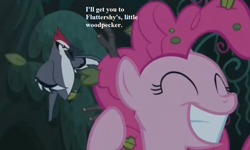 Size: 1000x600 | Tagged: safe, edit, edited screencap, screencap, pinkie pie, bird, earth pony, pony, it isn't the mane thing about you, cropped, everfree forest, implied fluttershy, text, woodpecker