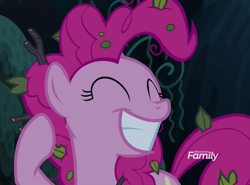 Size: 1457x1080 | Tagged: safe, screencap, pinkie pie, pony, it isn't the mane thing about you, cropped, discovery family logo, smiling, solo