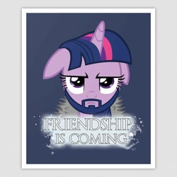 Size: 630x630 | Tagged: safe, artist:alexstrazse, derpibooru import, edit, twilight sparkle, tanks for the memories, beard, crossover, floppy ears, game of thrones, head, solo, twilight starkle, winter is coming