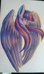 Size: 1024x1707 | Tagged: safe, artist:szopwmeloniku, derpibooru import, twilight sparkle, twilight sparkle (alicorn), alicorn, pony, female, heart, mare, simple background, solo, spread wings, traditional art