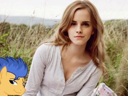 Size: 1600x1200 | Tagged: safe, edit, flash sentry, emma watson, exploitable meme, flashface, meme, obligatory pony, waifu thief