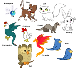 Size: 2000x1764 | Tagged: safe, artist:agirl3003, owlowiscious, bird, cat, chicken, cockatrice, dog, ferret, owl, parasprite, phoenix, rabbit, animal, pets, simple background, white background