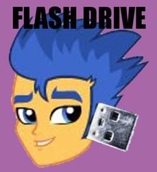 Size: 389x425 | Tagged: safe, flash sentry, exploitable meme, flash sentry savior of the universe, flashdrive, meme, solo