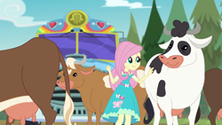 Size: 1280x720 | Tagged: safe, screencap, fluttershy, cow, better together, equestria girls, road trippin, crotchboobs, female, holstein, nudity, teats, tour bus, udder